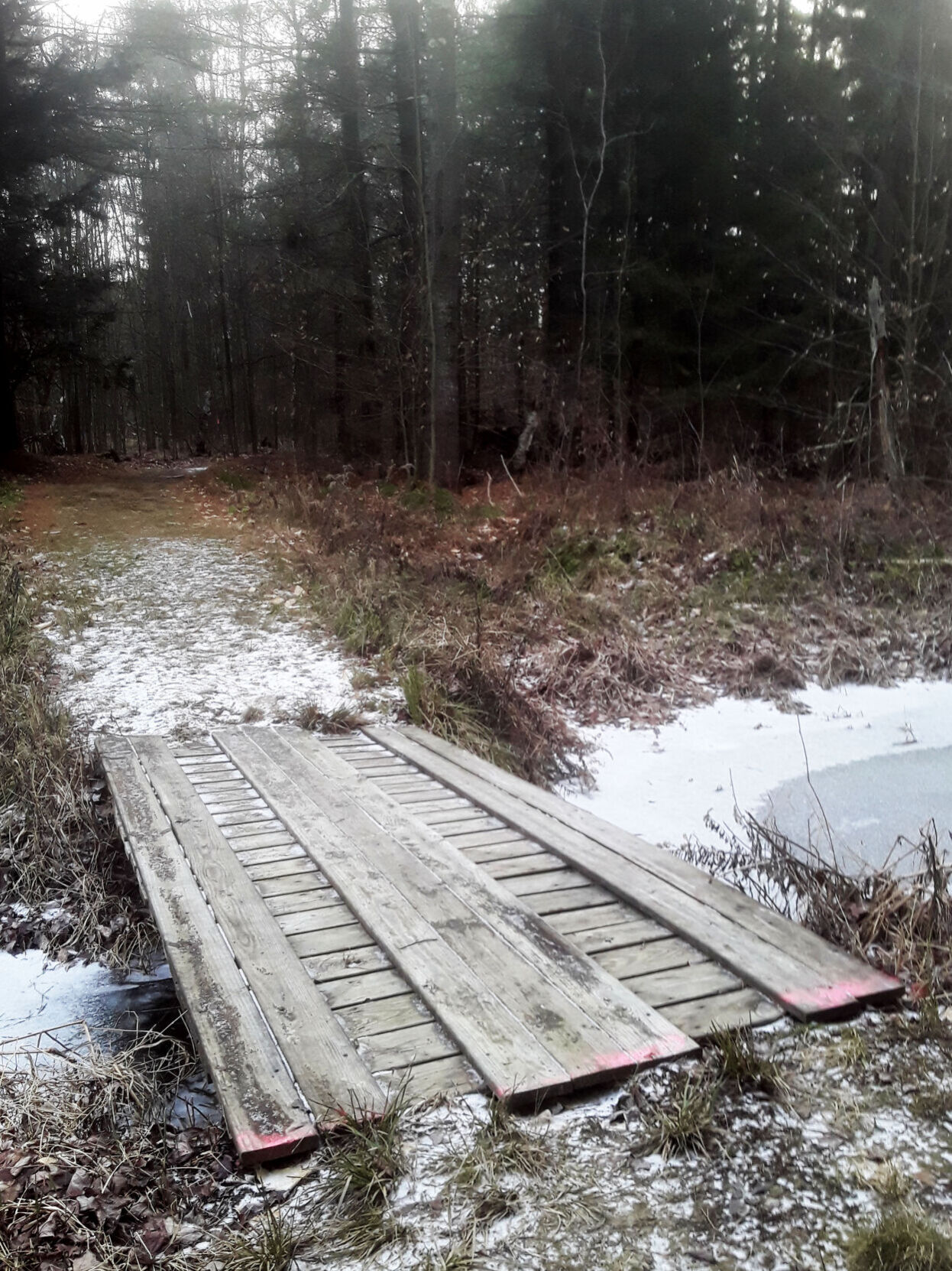 Arrowhead bridge